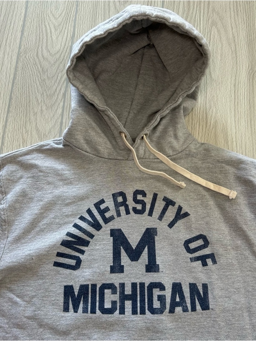 Original Retro Brand University of Michigan Wolverines Vintage Style Hoodie sz M - Picture 3 of 9